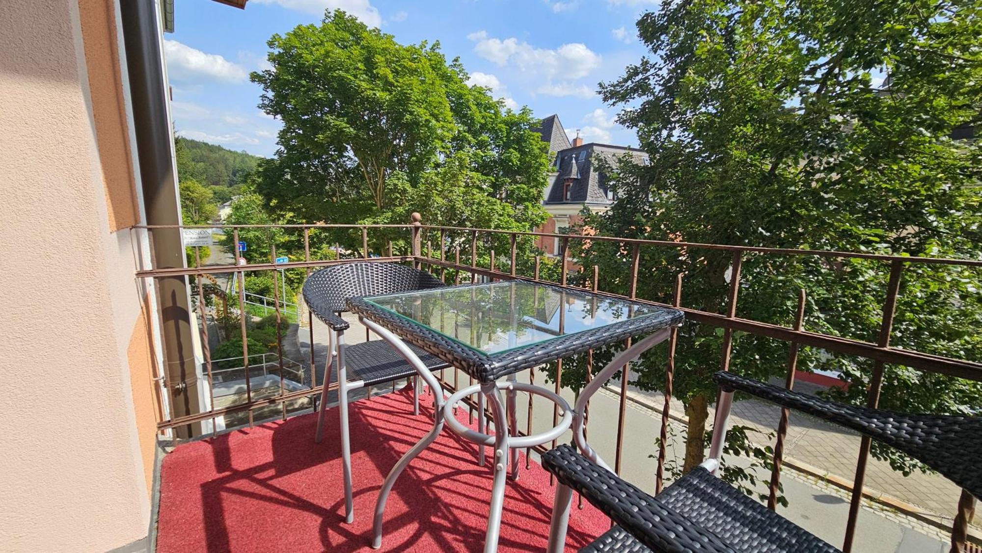 Pension Weisse Rose, Parkplatz, Fruehstueck, Wlan, Zentral Bad Elster Ngoại thất bức ảnh
