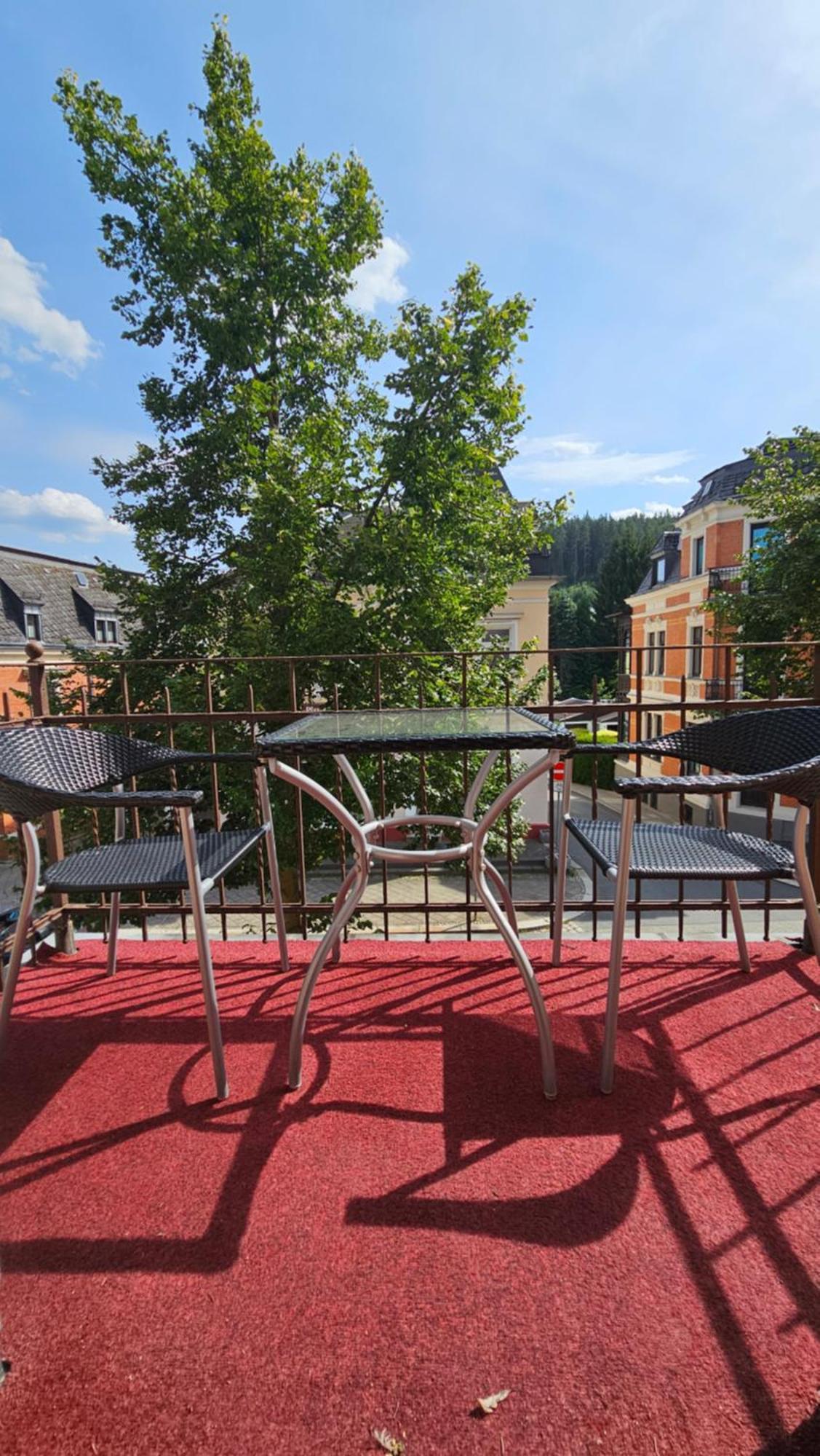 Pension Weisse Rose, Parkplatz, Fruehstueck, Wlan, Zentral Bad Elster Ngoại thất bức ảnh